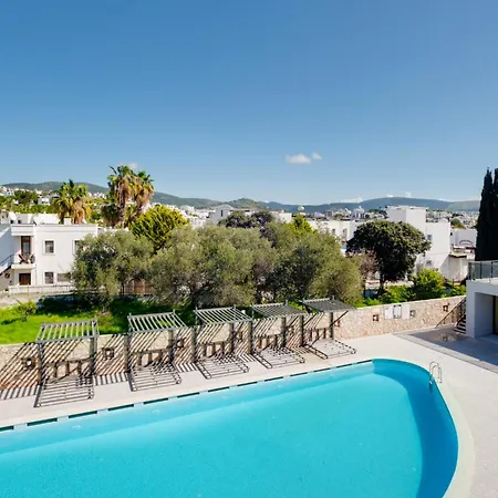 Apartment With Balcony Shared Pool 5 Min To *